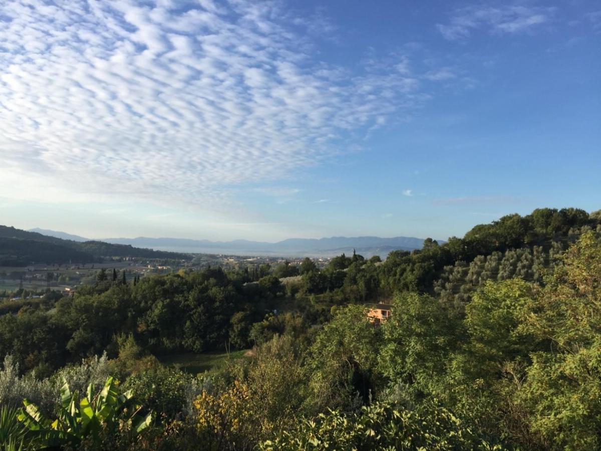 Umbria In Bike Foligno