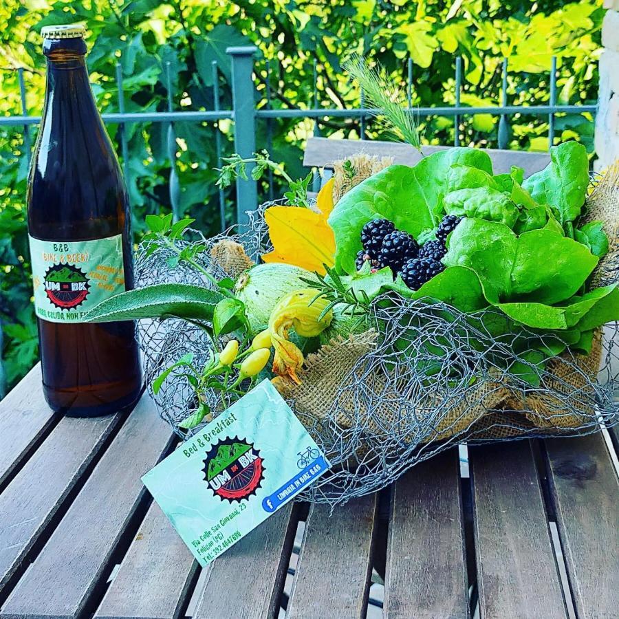 Umbria In Bike Bed & Breakfast