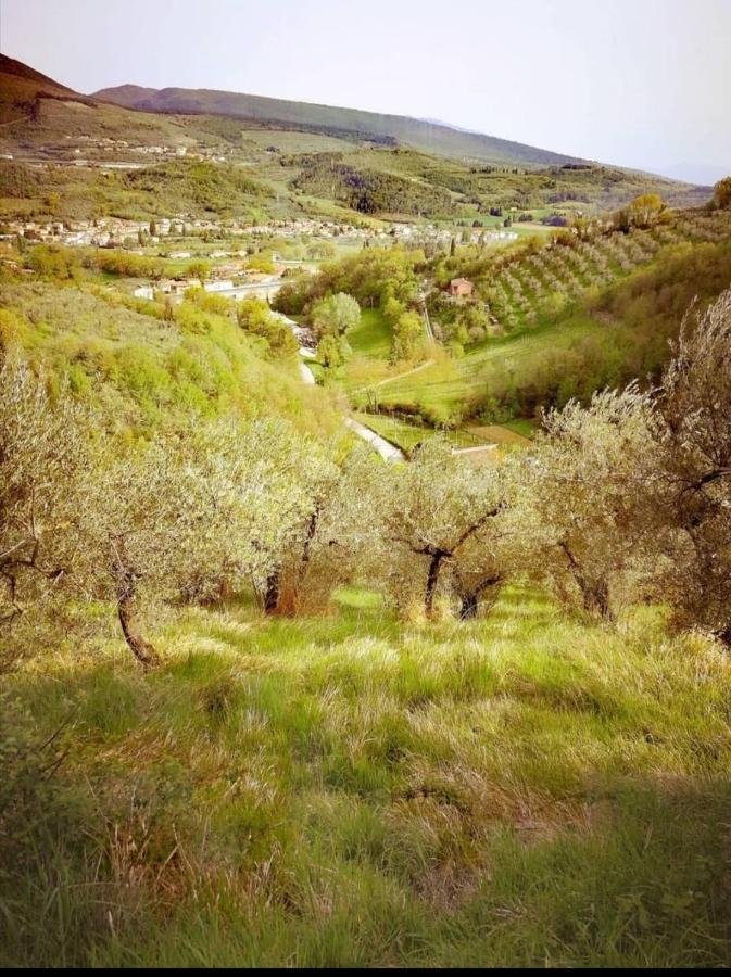 Umbria In Bike Bed & Breakfast